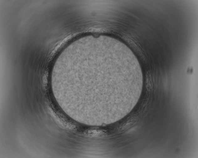 X0000115410208200912011348