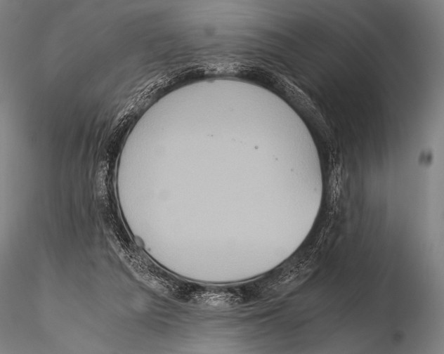 X0000115410209200912011348