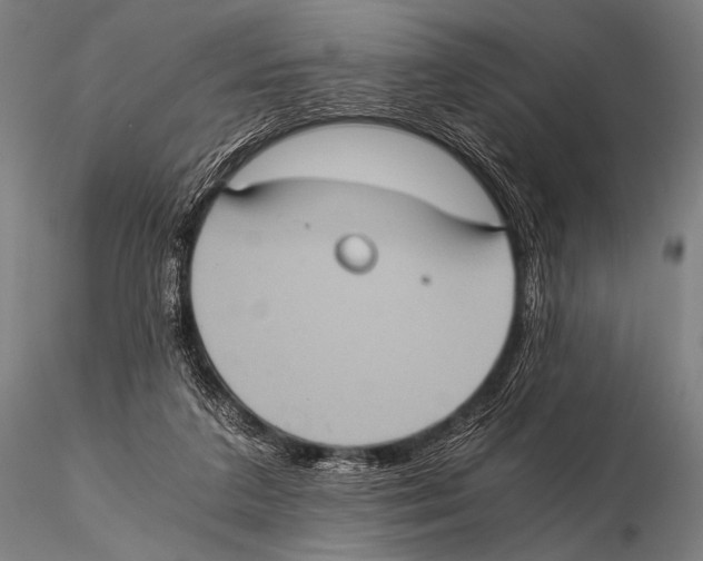 X0000115410211200912011348