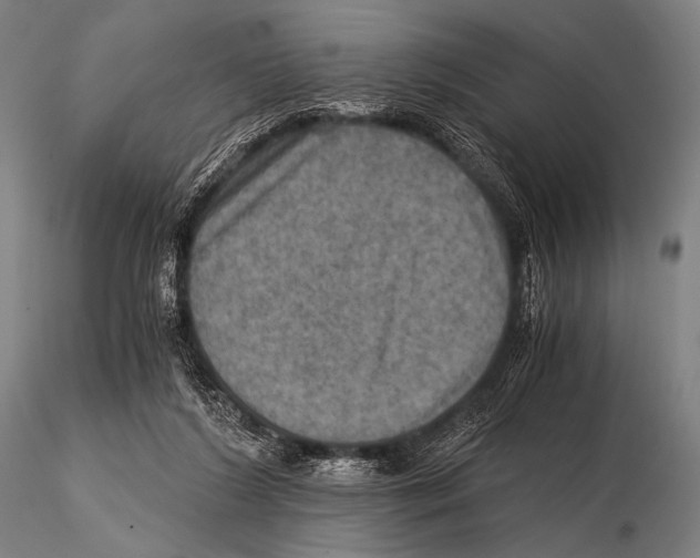 X0000115410212200912011348