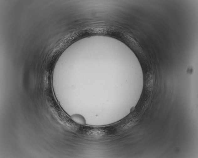 X0000115410213200912011348