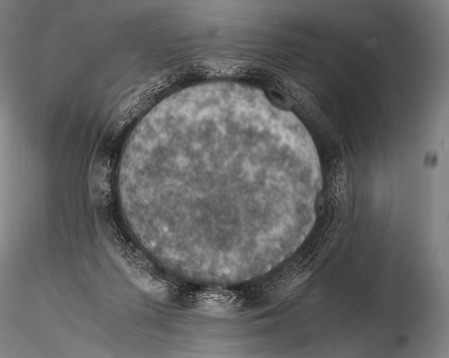 X0000115410215200912011348