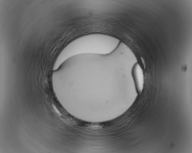 X0000115410217200912011348