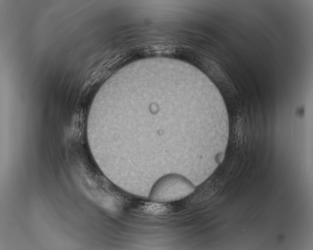 X0000115410218200912011348