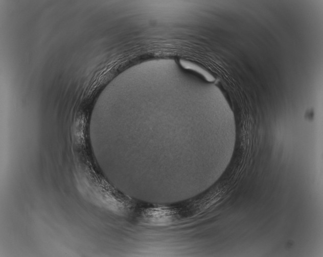 X0000115410219200912011348