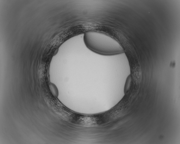 X0000115410221200912011348