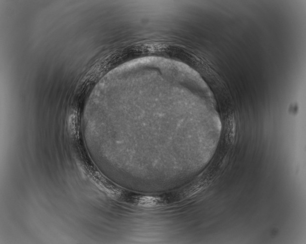 X0000115410222200912011348