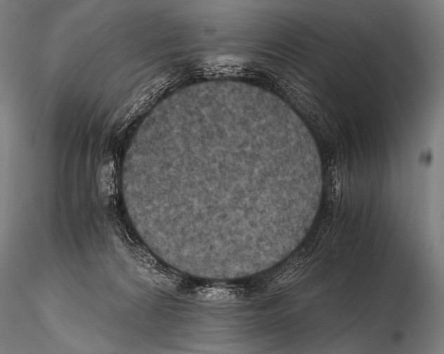 X0000115410224200912011347