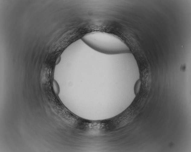 X0000115410225200912011347