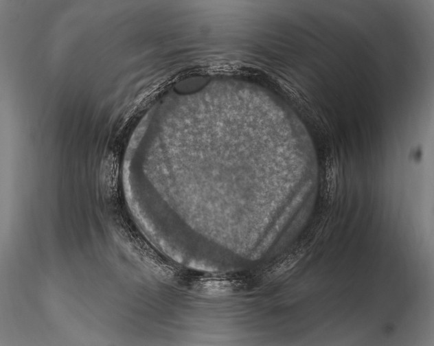 X0000115410228200912011347