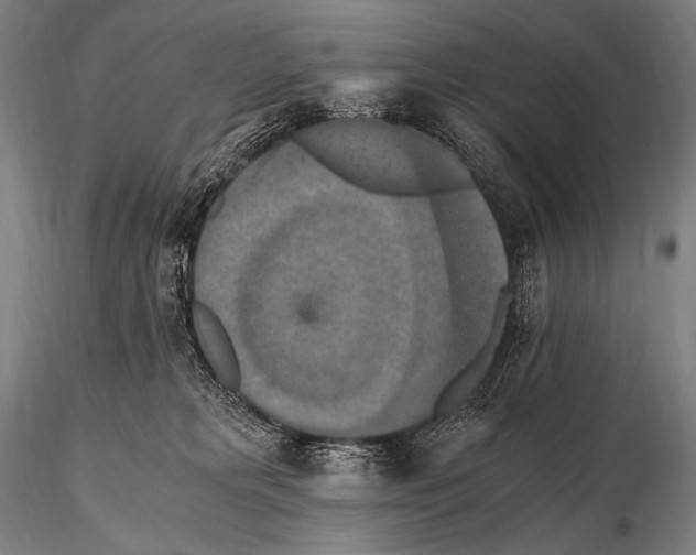 X0000115410229200912011347