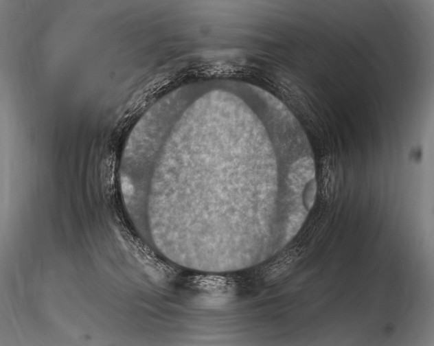 X0000115410230200912011347