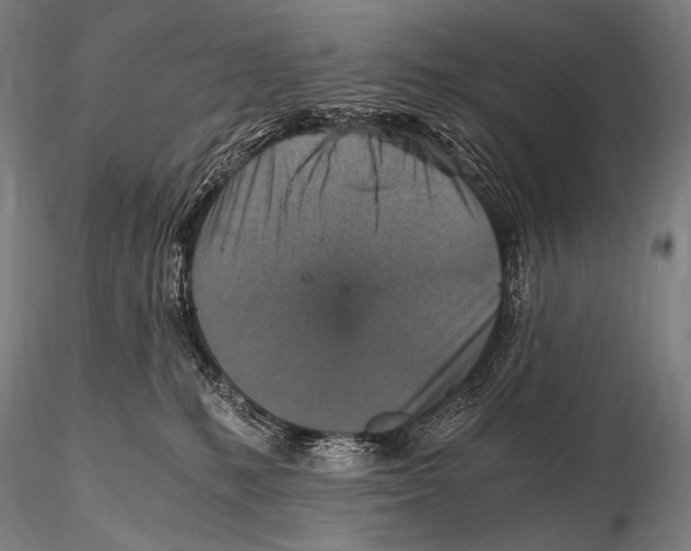 X0000115410231200912011347