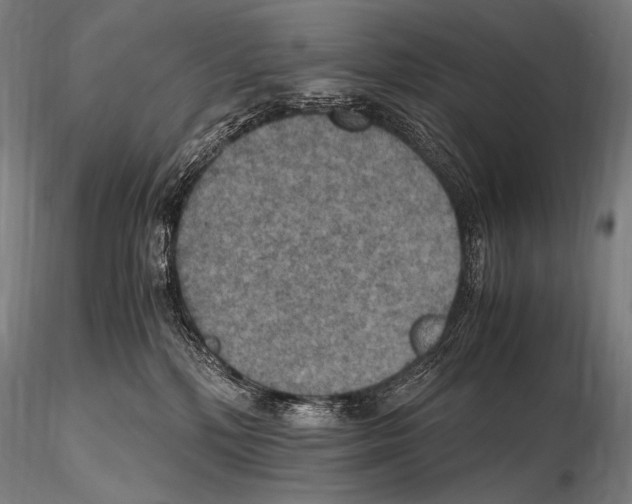 X0000115410232200912011347