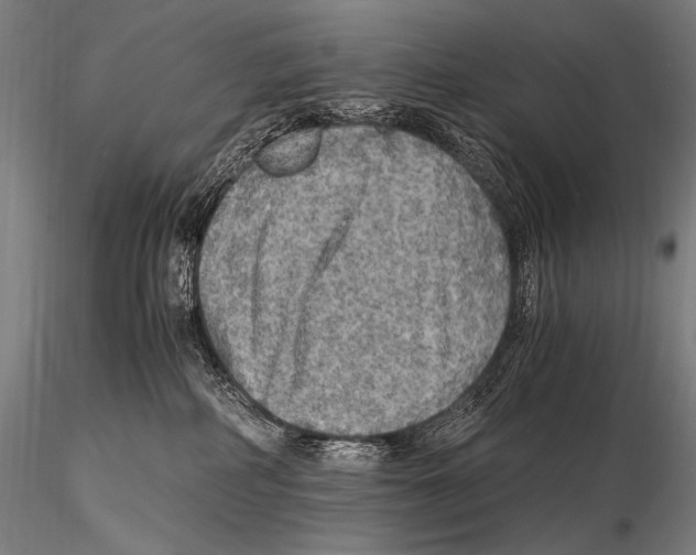 X0000115410234200912011347