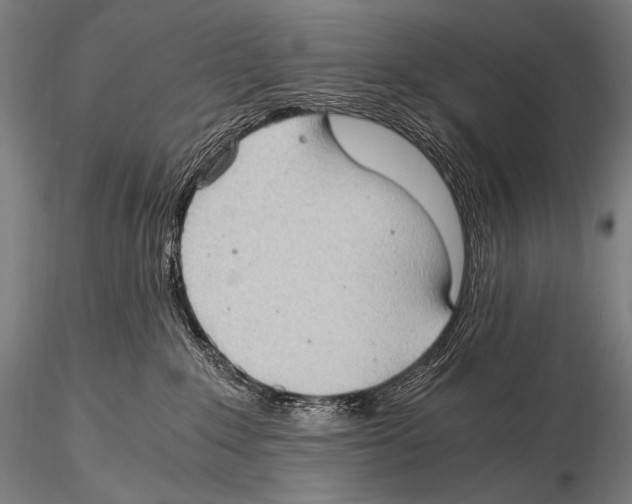 X0000115410235200912011347