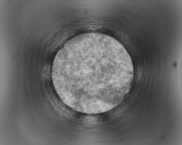 X0000115410236200912011347