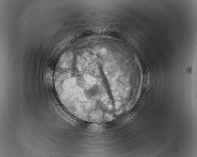 X0000115410238200912011347