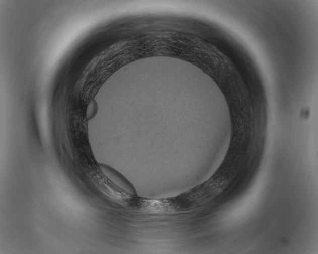 X0000115410239200912011347