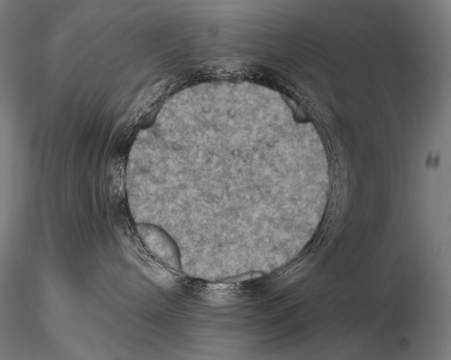 X0000115410240200912011347