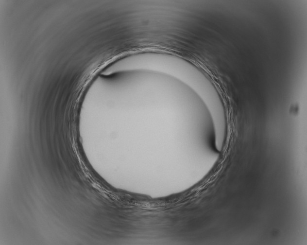 X0000115410241200912011347