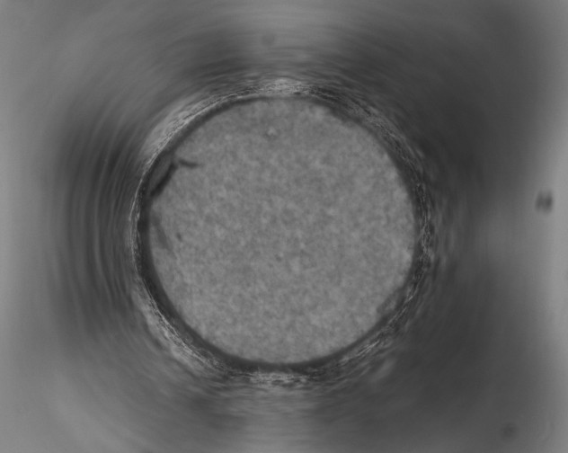 X0000115410242200912011347