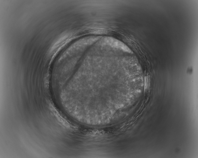 X0000115410243200912011347