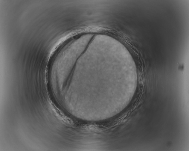 X0000115410244200912011347