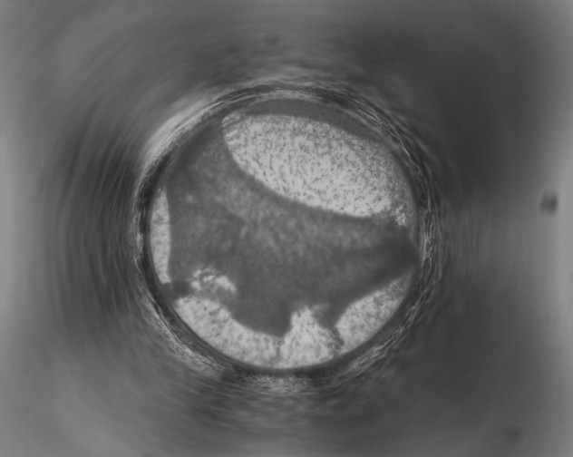 X0000115410245200912011347