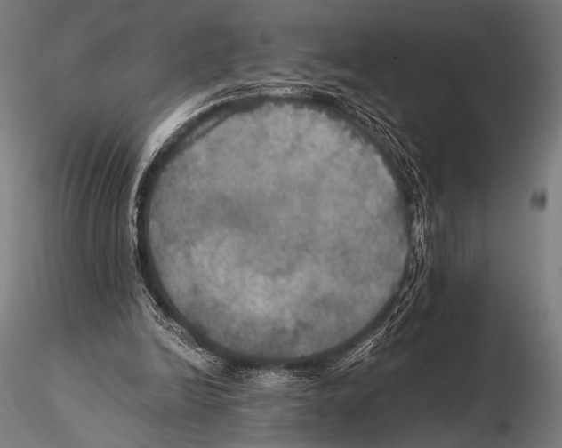 X0000115410246200912011347