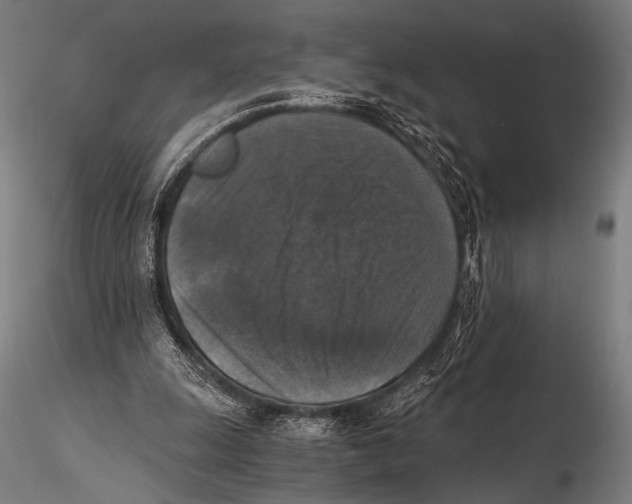 X0000115410247200912011347