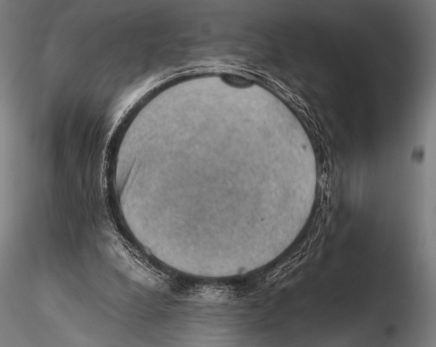 X0000115410248200912011347