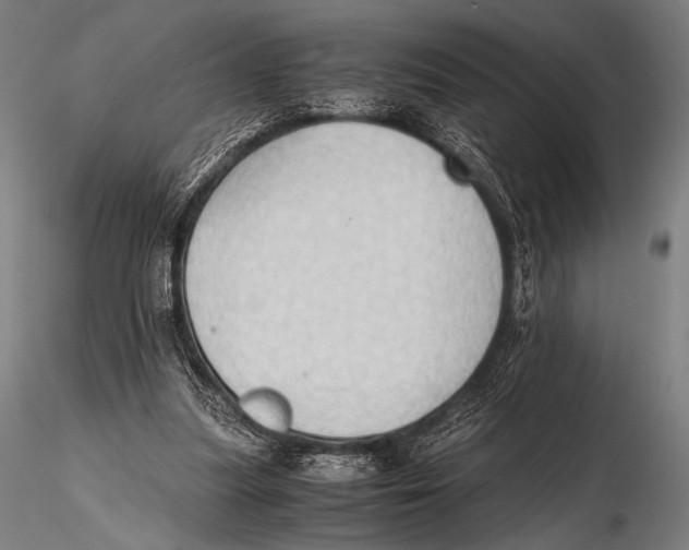 X0000115410251200912011347