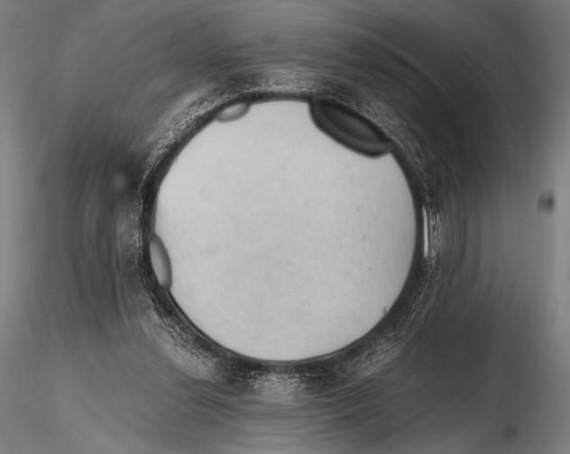 X0000115410252200912011347