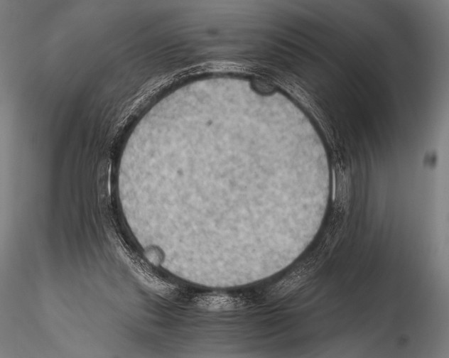 X0000115410253200912011347