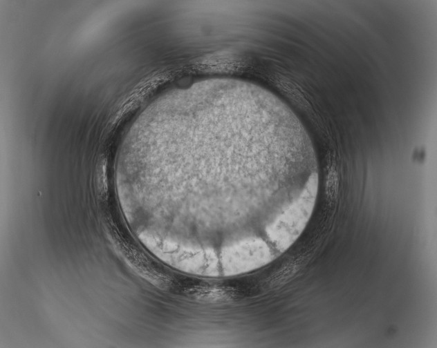 X0000115410254200912011347