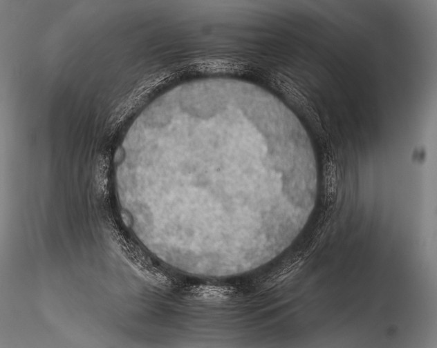 X0000115410255200912011347