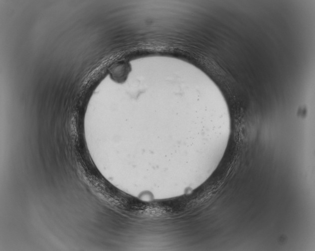 X0000115410256200912011347