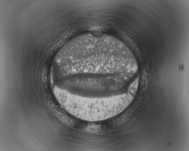 X0000115410257200912011347