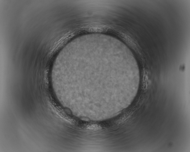 X0000115410258200912011347