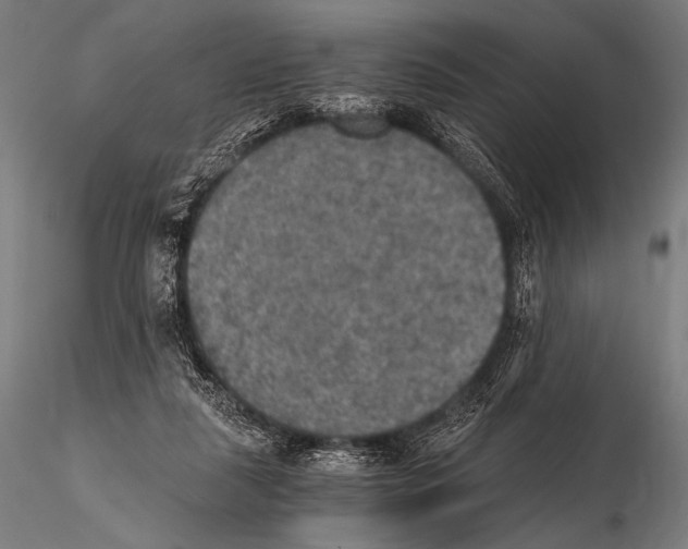 X0000115410259200912011347