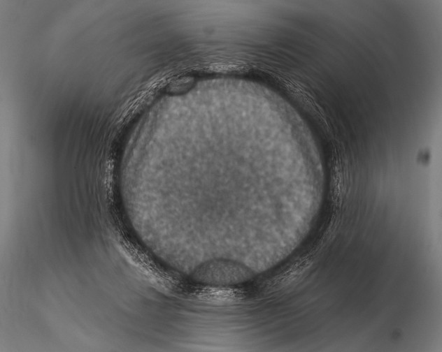 X0000115410260200912011347