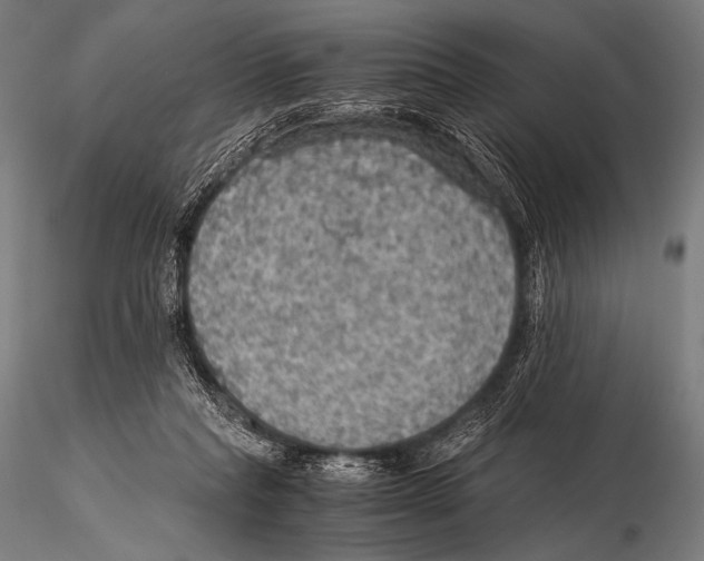 X0000115410261200912011347