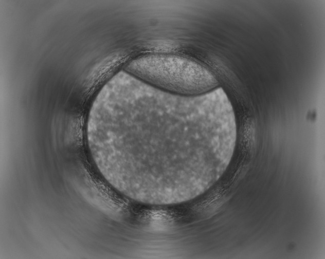 X0000115410264200912011347