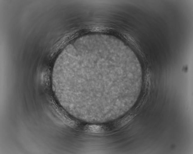 X0000115410265200912011347