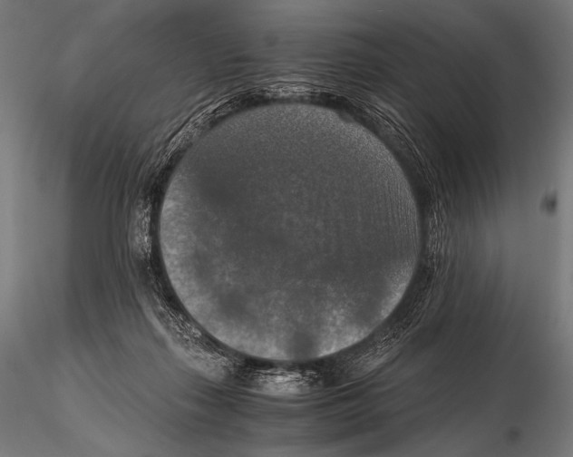 X0000115410267200912011347