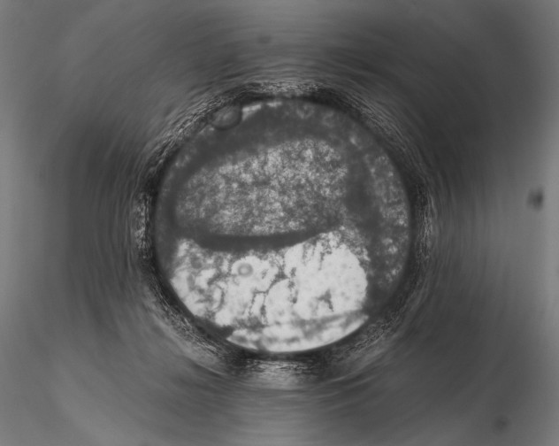 X0000115410268200912011347