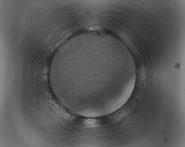 X0000115410269200912011347