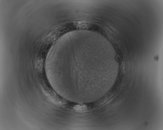 X0000115410271200912011347