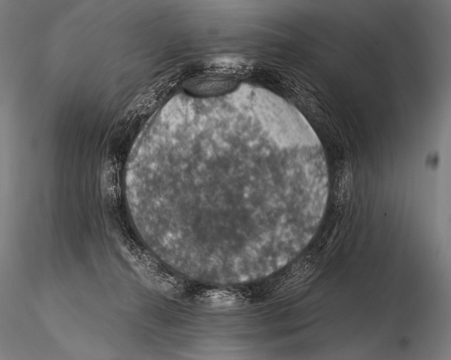 X0000115410272200912011347